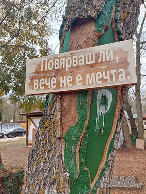image_27