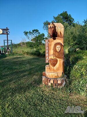 image_33