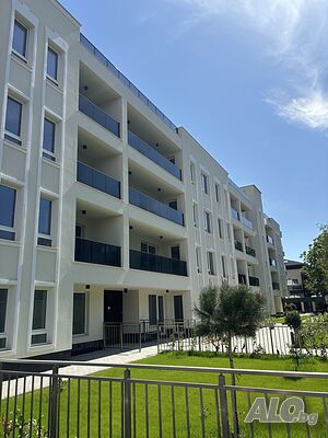 image_12