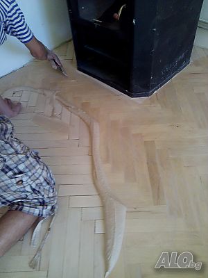 image_10