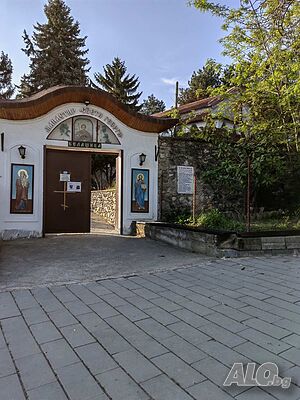 image_7