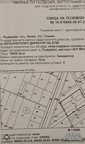 Лозов масив 14 дка