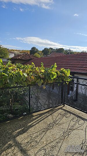 image_5