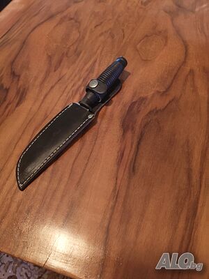 image_5