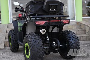image_8