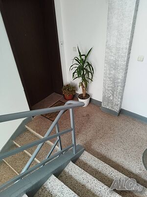 image_15