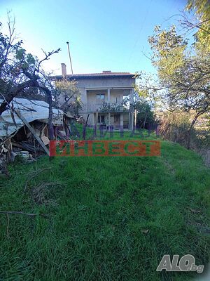 image_7