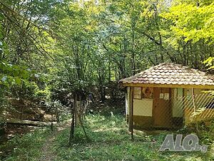 image_8
