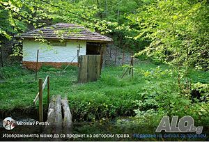image_9