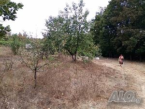 image_6