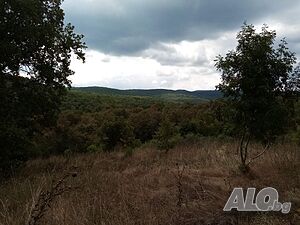 image_14