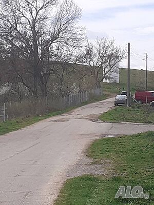 image_11