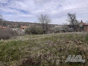 image_14