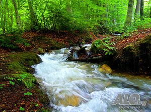 image_9
