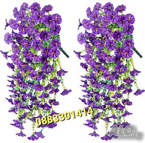 image_6