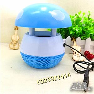 image_4