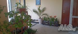 image_14