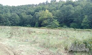 image_9