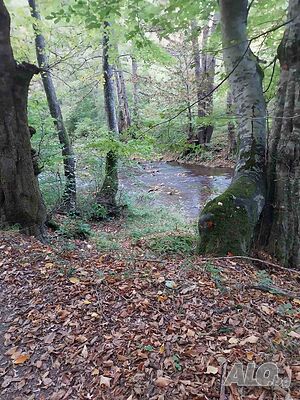 Самостоятелни парцели до с. Стоилово