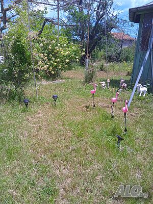 image_10