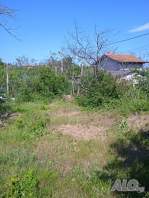 image_2