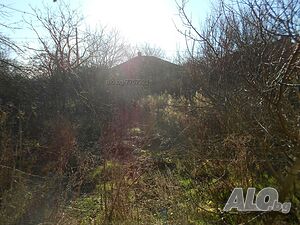 image_7