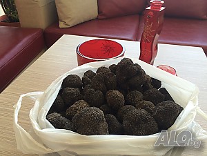 Продавам пресни трюфели за консумация и обучение на кучета