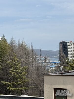 image_11