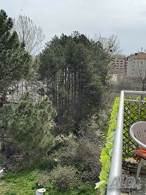 image_12