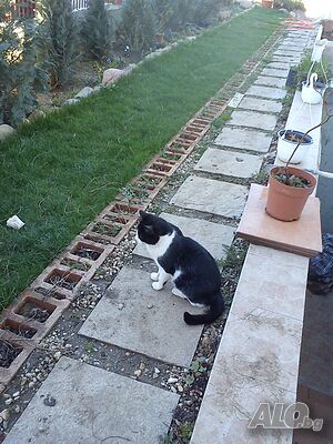 image_2