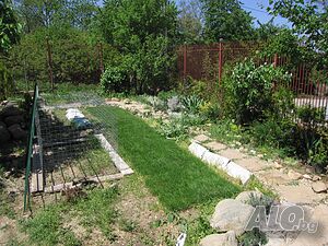 image_3