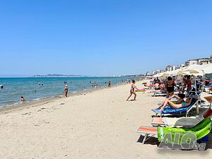 image_7