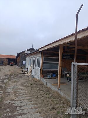 image_3