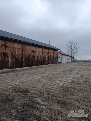 image_5