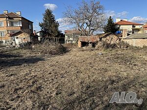 image_11