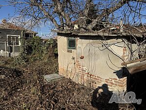 image_9