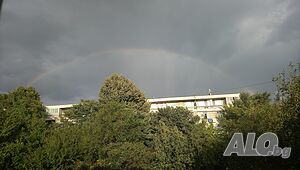 image_10