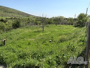 image_11