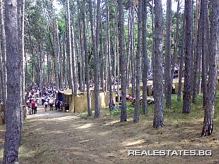 image_5