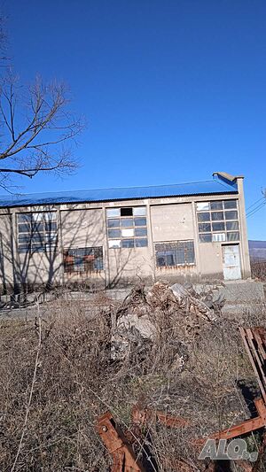 image_4