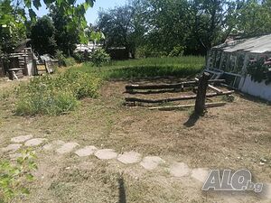 image_19