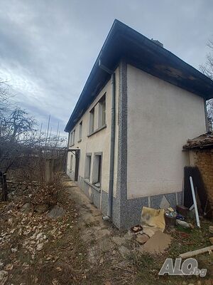 image_3
