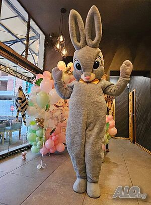 image_4