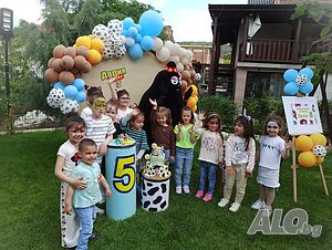 image_11
