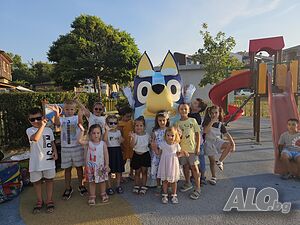 image_13