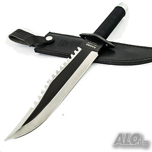 image_3