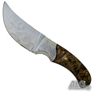 image_3