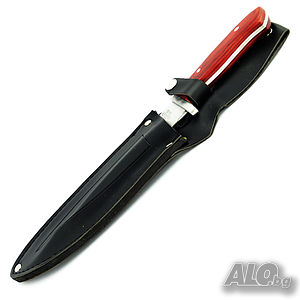 image_3