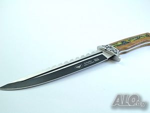 image_3