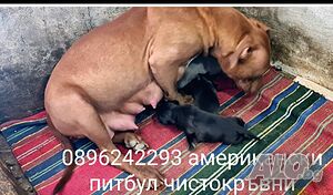 image_7
